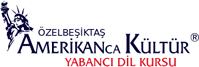 nergizbakimhizmetleri